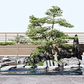 Serene Garden Ornamental Landscape With Pine Tree Rockery Stones Water Feature And Wooden Railing