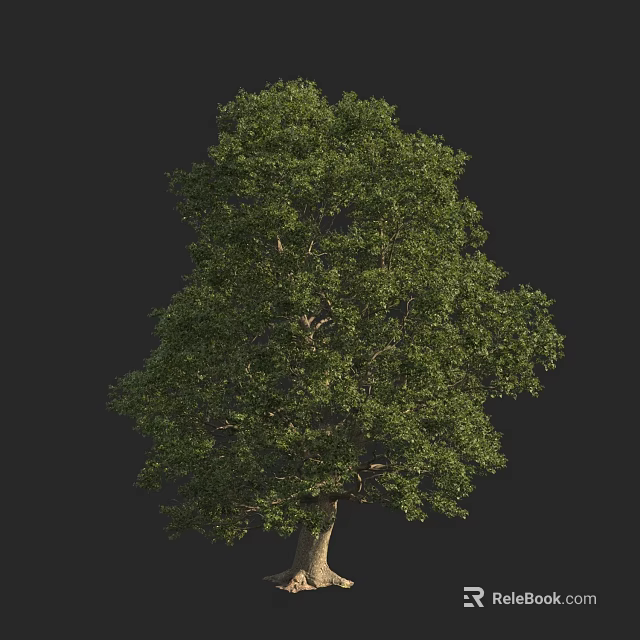 Lush Green Arbor With Dense Foliage And Sturdy Trunk In Natural Environment 3d model 