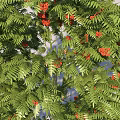 Two Arbor Trees with Green Leaves Red Fruits Different Sizes and Shadows
