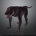 Purple Baboon with Red and Blue Facial Markings Standing Open Mouth on Gray Background