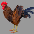 Brown Feathered Rooster with Red Comb Standing and Spreading Wings as Flying Animal