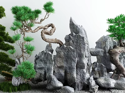 Courtyard Garden With Gray Rocks Twisted Pine Trees Small Green Plants And Gravel Ground 3d model
