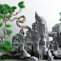 Courtyard Garden With Gray Rocks Twisted Pine Trees Small Green Plants And Gravel Ground