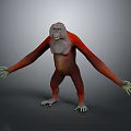Realistic 3D Model of Ape with Red and Gray Fur Standing with Outstretched Arms