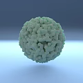 Medical Device Microscopic Components Featuring Green Spherical Textured Surfaces 3d model