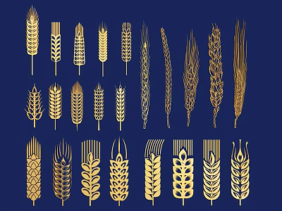 Golden Cereal Crops Different Wheat Grain Illustration Designs On Blue Background 3d model