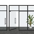 Contemporary Glass Doors With Black Frames And Potted Plant In Interior