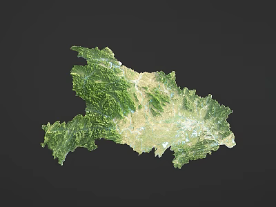 Topographic Map Design Wall Decor with Green Yellow Terrain and Irregular Shape for Home 3d model