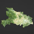 Topographic Map Design Wall Decor with Green Yellow Terrain and Irregular Shape for Home