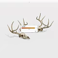 Pair of Natural Deer Skull Antlers as Decorative Wall Hanging Art