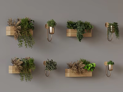 Wall Mounted Plant Decorations With Wooden Planters Metal Hooks And Greenery 3d model
