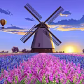 Windmill In Lavender Field With Hot Air Balloons And Sunset Sky