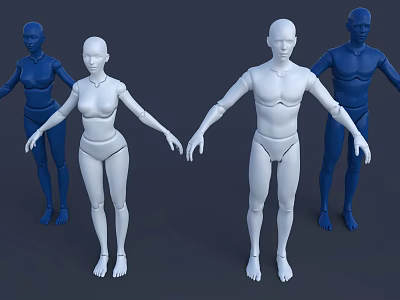 Dummy Car Crash Test Dummy Articulation Doll Bionic Doll Robot Dummy Clothes Model Dummy Clothes Hanger Dummy Model 3d model