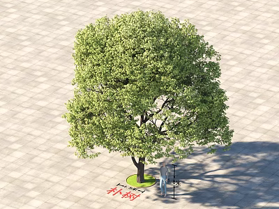Lush Green Arbor With Dense Foliage And Strong Trunk In Outdoor Paved Area 3d model