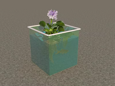 Transparent Square Fish Tank With Aquatic Plants Small Fish And Purple Flower 3d model