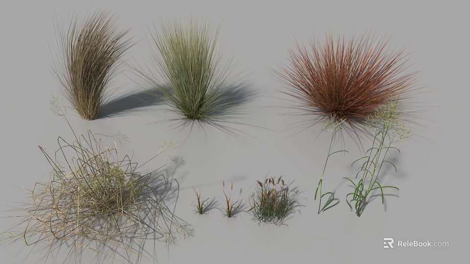 Diverse Ornamental Grass Collection With Green Brown Red Tufted And Slender Plants 3d model 