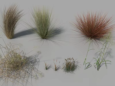 Diverse Ornamental Grass Collection With Green Brown Red Tufted And Slender Plants 3d model