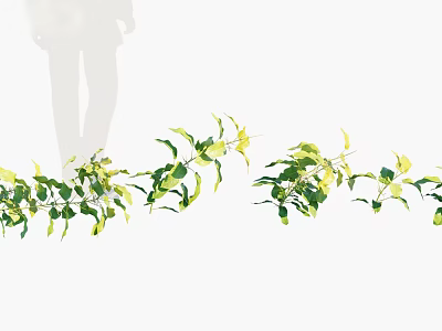 plants flowers flowers flowers shrubs 3d model plants flowers flowers flowers shrubs 3d model