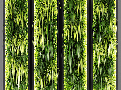 Modern Green Plant Wall Plant Wall Green Wall Vertical Green Plant Wall Decoration model