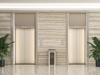 Elevator Hallway With Wooden Marble Walls Elevator Doors Green Plants And Marble Floor 3d model