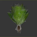 Two Fresh Crisp Green Lettuce Heads With Roots On Dark Surface