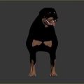 Realistic Rottweiler Stuffed Toy Black Brown Standing With Soft Smooth Texture