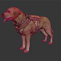 Yellow Labrador Retriever Wearing Tactical Harness with Green Light Equipment