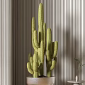 Modern Indoor Cactus And Succulent Potted Plants With Striped Wall And Floor Lamp