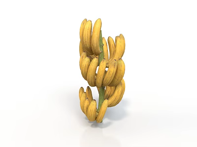 Fresh Yellow Bananas Bunch with Ripe Fruits on White Background 3d model