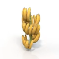 Fresh Yellow Bananas Bunch with Ripe Fruits on White Background