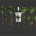 Green Palm Trees With Brown Trunks And Lush Green Leaves Surrounding White Cube