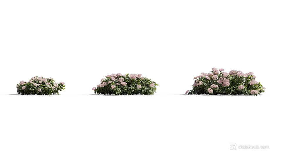 Flowering Shrubs With Pink Blooms And Green Foliage In Different Sizes 3d model 