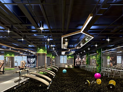 Modern Fitness Gym Interior With Treadmills Dumbbells Green Plants And Ceiling Lights 3d model