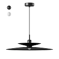 Modern Black Ceiling Light With Stylish Design For Contemporary Interior Lighting