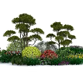 Lush Garden Landscape Featuring Tall Arbor Trees And Colorful Flower Bushes