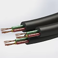 Black Insulated Electrical Cables with Colored Cores and Exposed Copper Wires