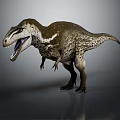 Realistic T-Rex Dinosaur Character Standing With Open Mouth And Sharp Teeth 3d model