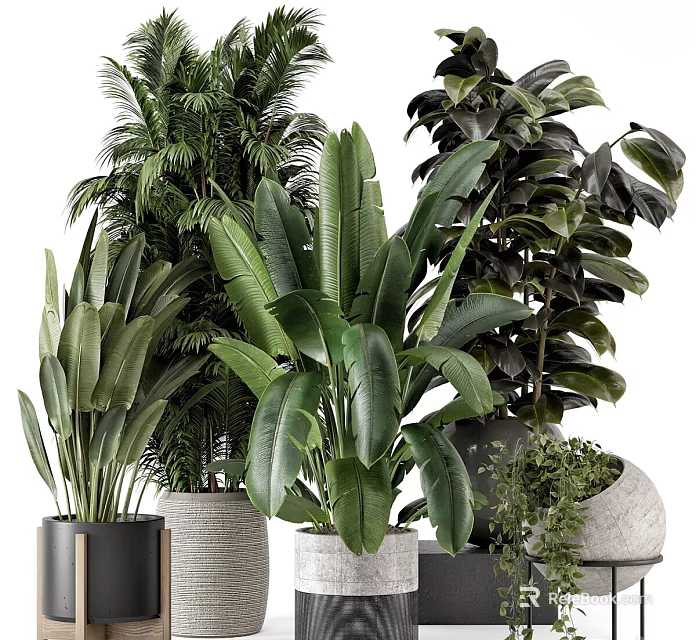 Indoor Plants With Large Leaf Palm And Monstera In Black Metal Woven Marble Pots 3d model 