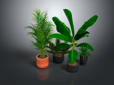 Vibrant Potted Tropical Plants With Large Green Leaves And Various Types In Orange Black Pots 3d model