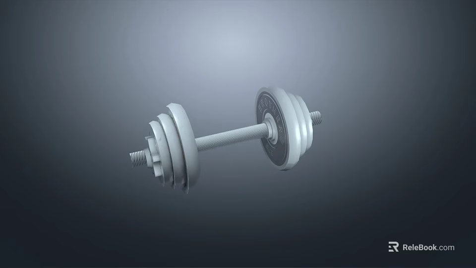 Silver Metal Dumbbell With Weight Plates For Home Gym Workout 3d model 