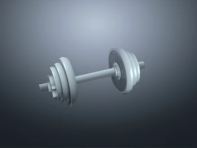 Silver Metal Dumbbell With Weight Plates For Home Gym Workout 3d model