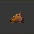 Game And Movie Character Orange Fox Sleeping Curled Up With Closed Eyes On Yellow Mat
