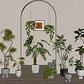 Decorative Indoor Bonsai Potted Plants With Various Greenery And Hanging Planters