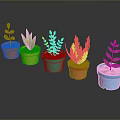 Colorful Potted Plants with Different Leaf Types in Bright Colored Pots on Dark Surface