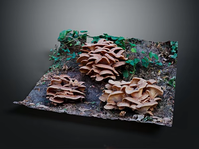 Natural Mushrooms Growing On Wooden Stone Surface With Green Vines And Moss 3d model