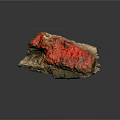 Natural Wood Stone Specimen With Vibrant Red Brown Color And Rough Texture