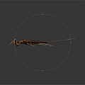 Brown Water Scorpion With Long Legs And Tail On Dark Background