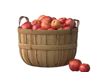Apple 3d model