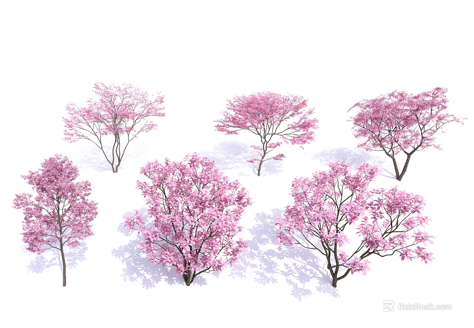 Pink Flowering Trees Featuring Various Blooming Forms And Lush Pink Blossoms 3d model 