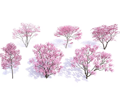 Pink Flowering Trees Featuring Various Blooming Forms And Lush Pink Blossoms 3d model